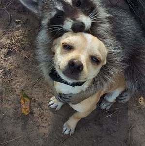 Meet your Posher, Rob